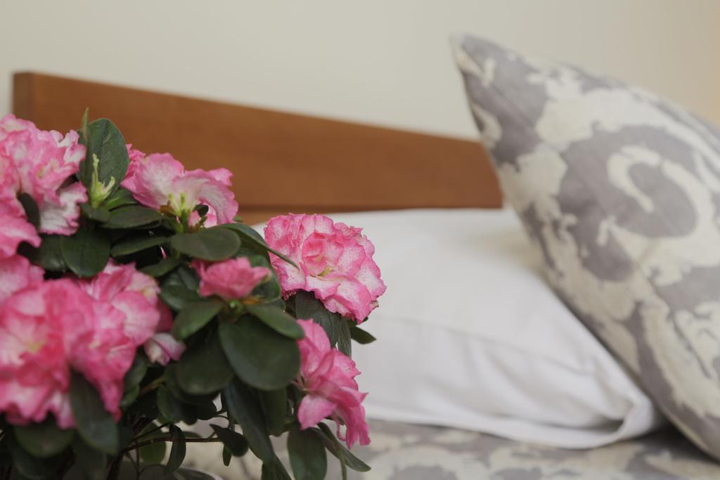 Accommodation Tara Belgrad Dış mekan fotoğraf